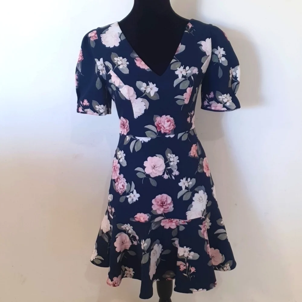 Forever New Size 8 Floral Pink and Blue Dress - Picture 1 of 7